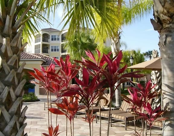 Near Theme Parks | Resort Amenities No Resort Fees 