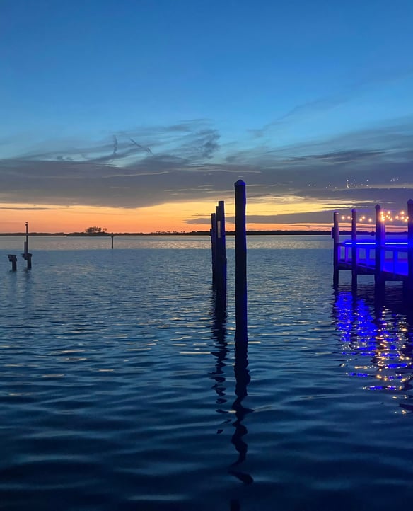 Bioluminescent Kayak Tour